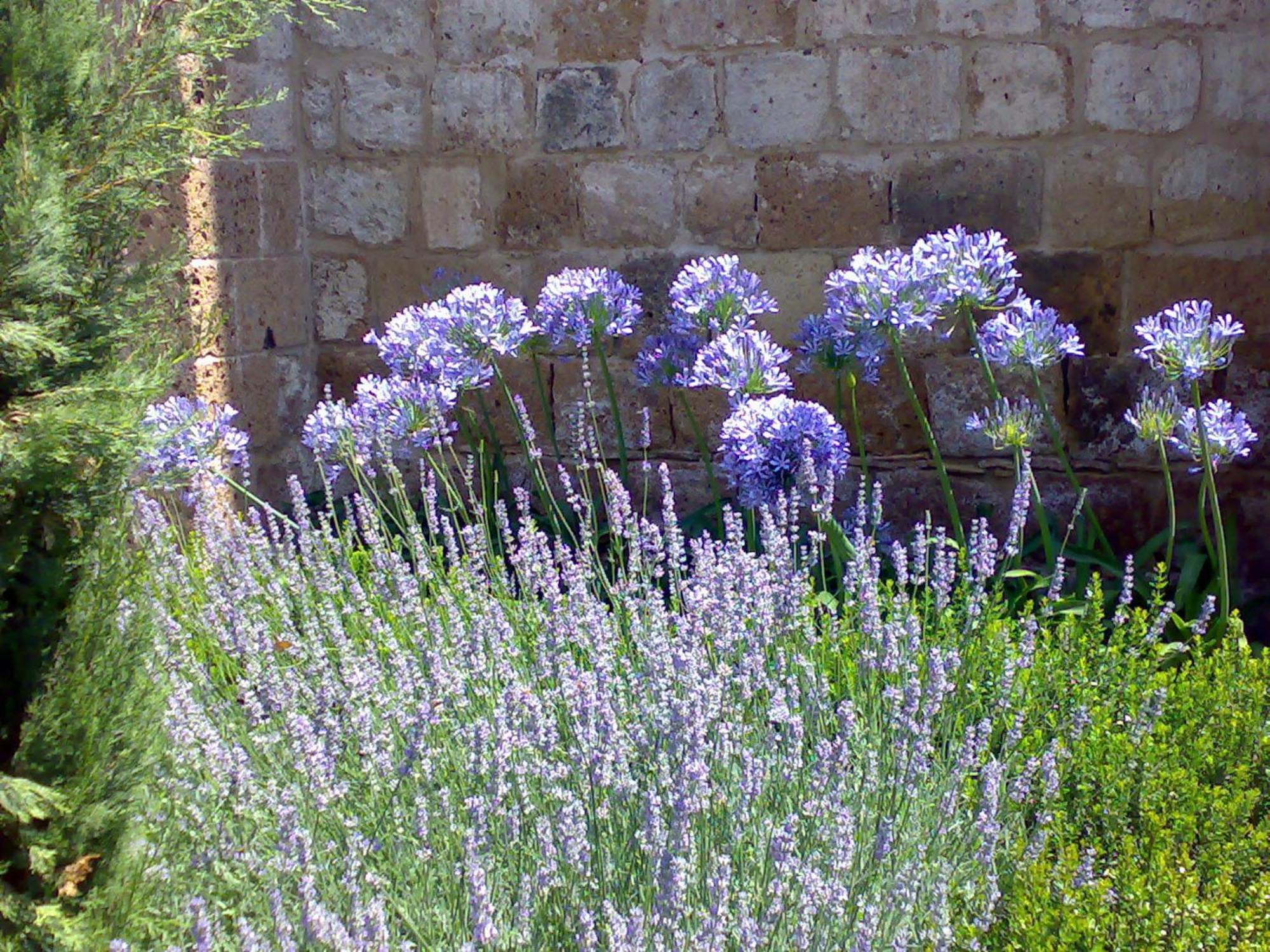 Locanda Palazzone Orvieto Luaran gambar