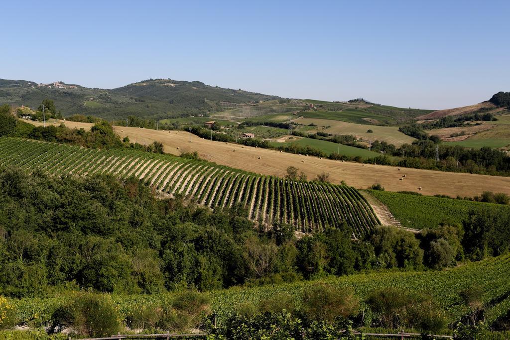 Locanda Palazzone Orvieto Luaran gambar