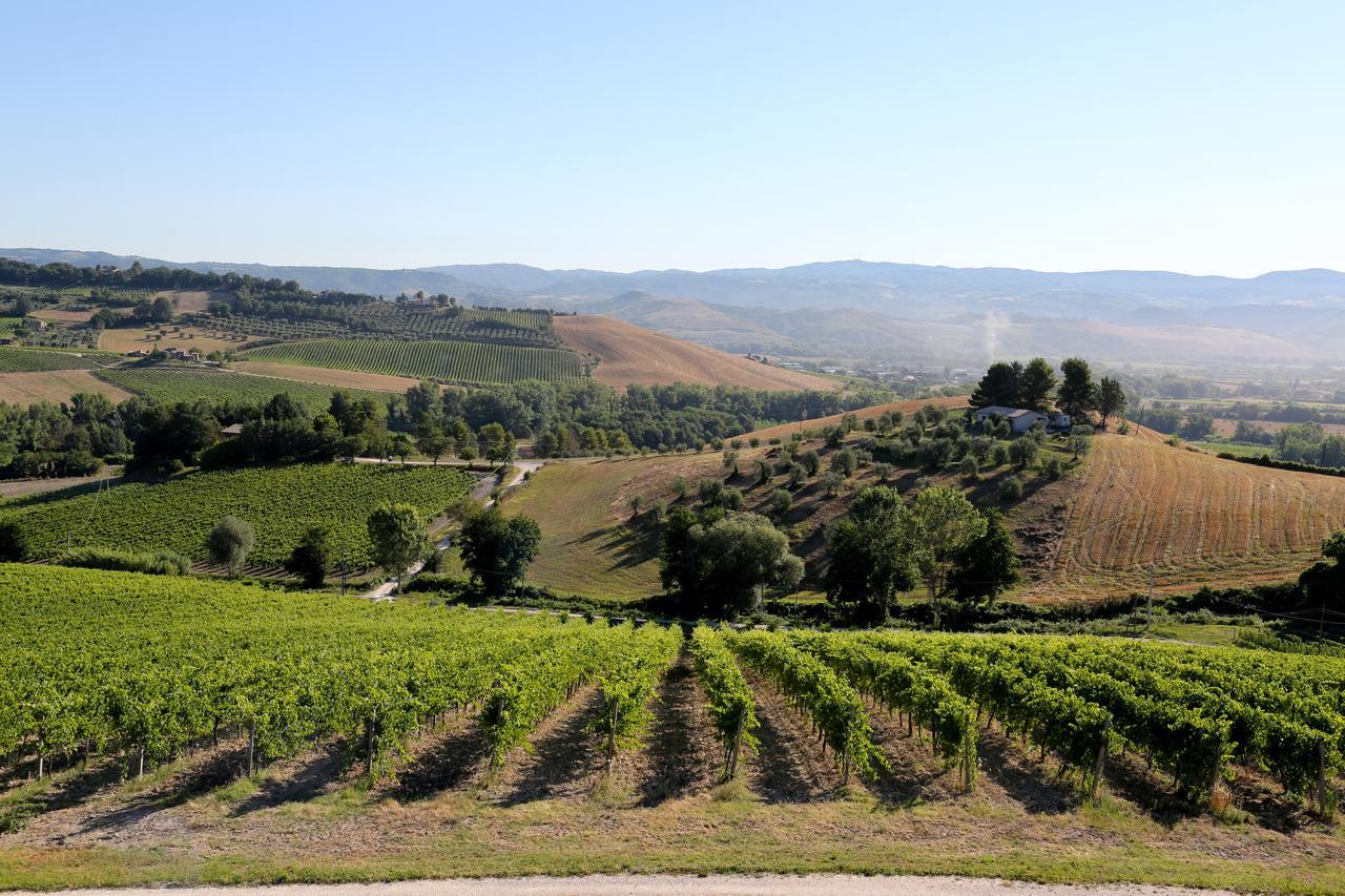 Locanda Palazzone Orvieto Luaran gambar
